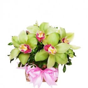 Букет цветов "Таинственный образ " Букет цветов "Таинственный образ "